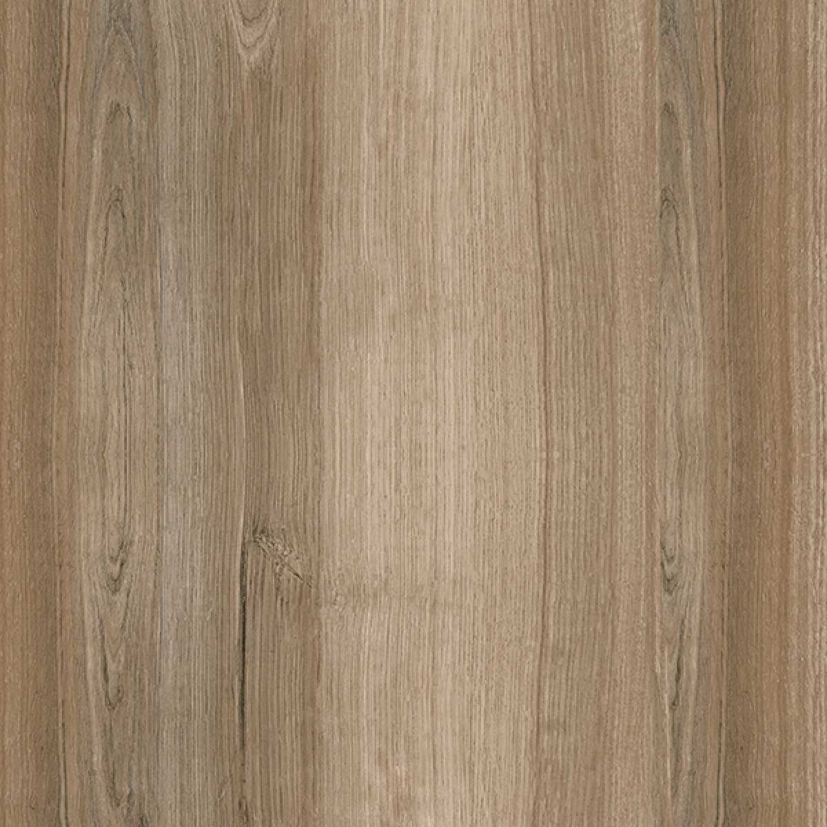 ALBERTINA ALMOND