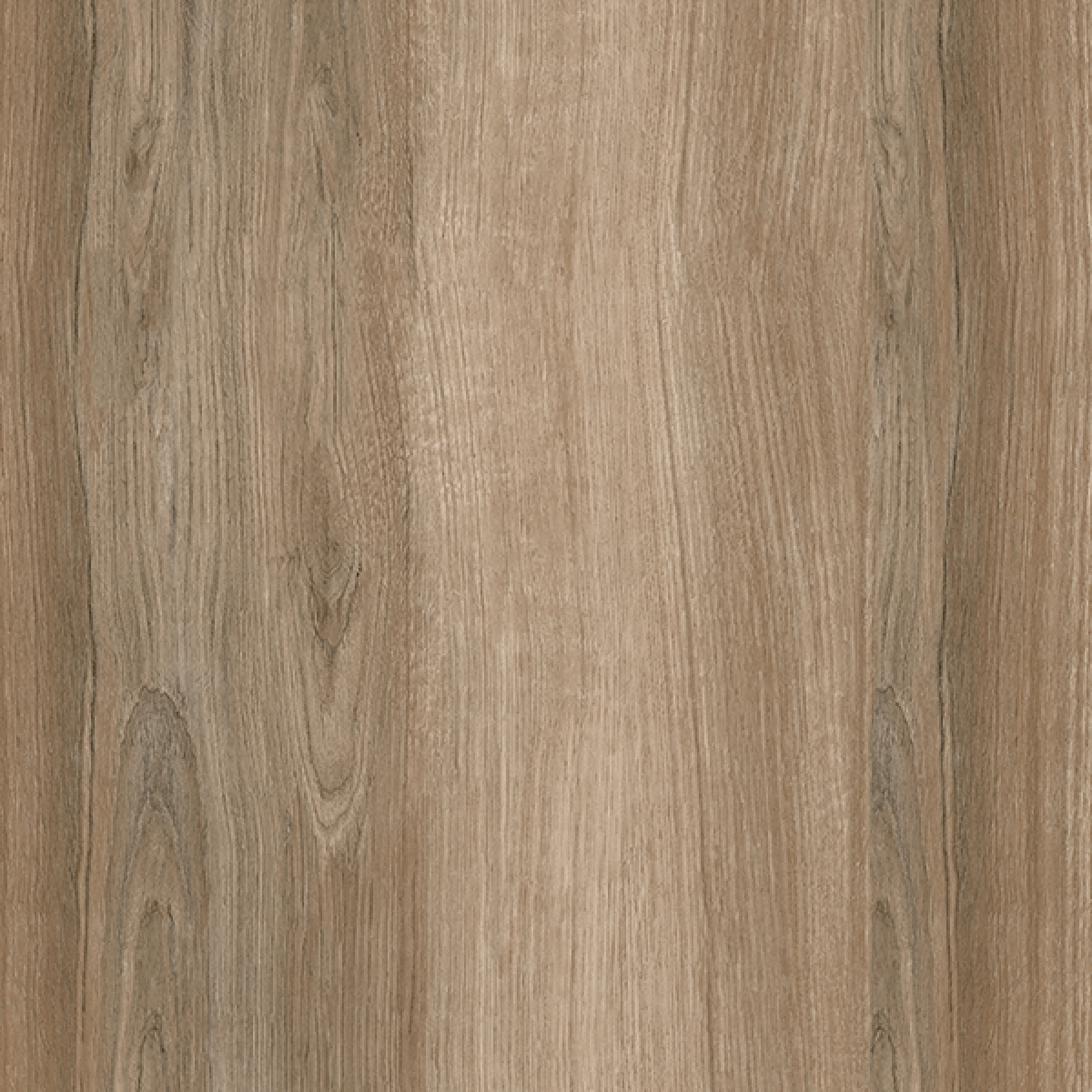 ALBERTINA ALMOND